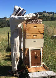 Product Spotlight - 100% Natural Raw Honey