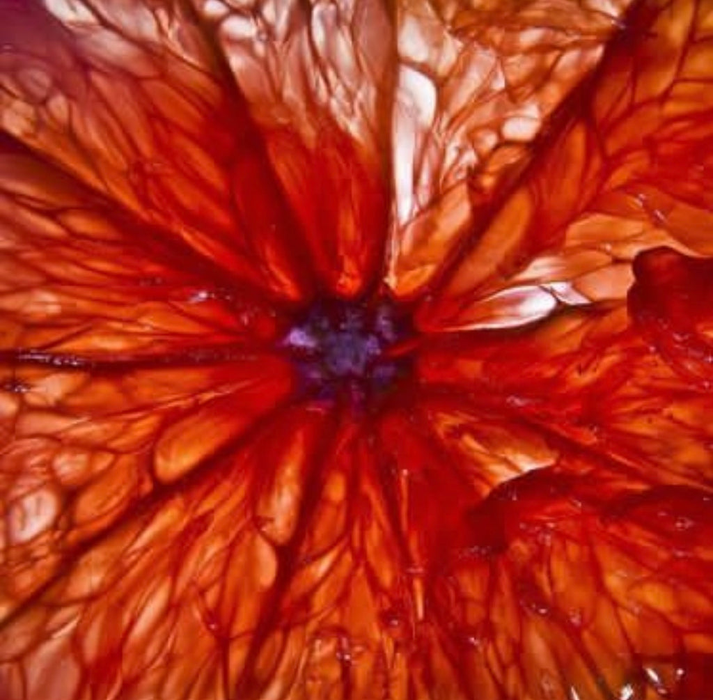 Bitey Blood Orange Salad
