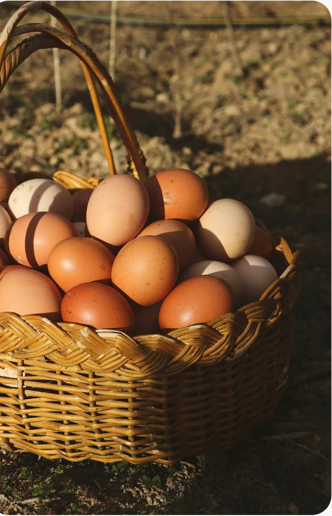 2 Dozen Ten Thousand Harvest Pasture Raised Eggs approx 700g Best Before 18 October 25