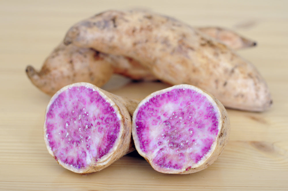 Sweet Potato, Purple (Okinawan)