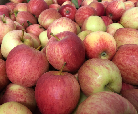 Apples Mixed