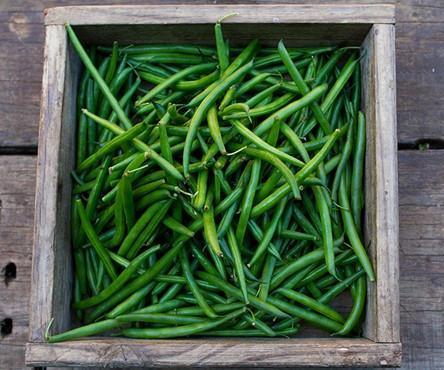 Beans, Green