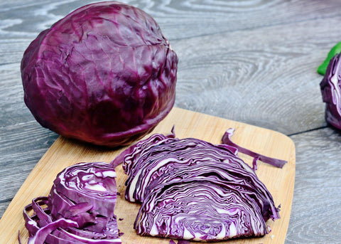 Cabbage, Red