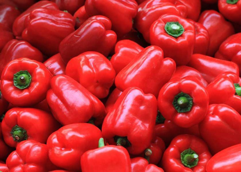 Capsicum, Red