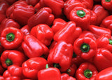 Capsicum, Red