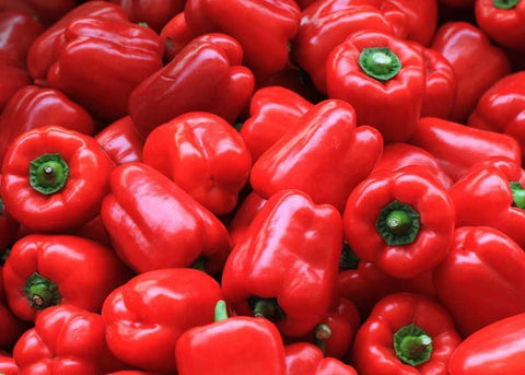Capsicum, Red