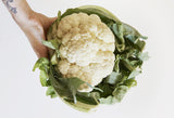 Cauliflower, White