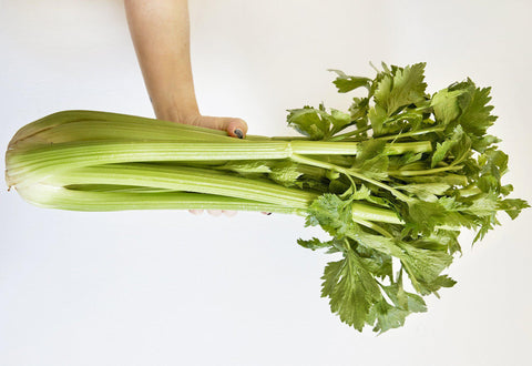 Celery