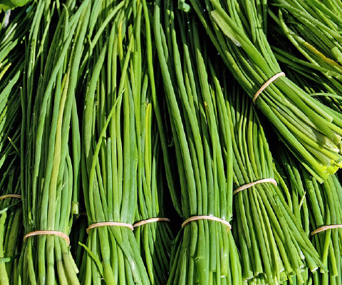 Chives