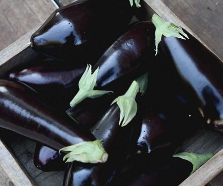 Eggplant
