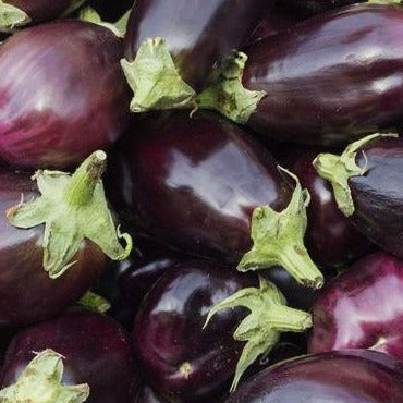 Eggplant
