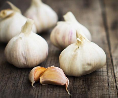 Garlic