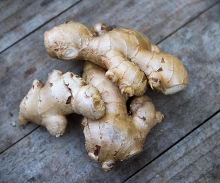 Ginger, Jumbo