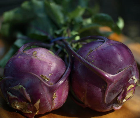 Kohlrabi