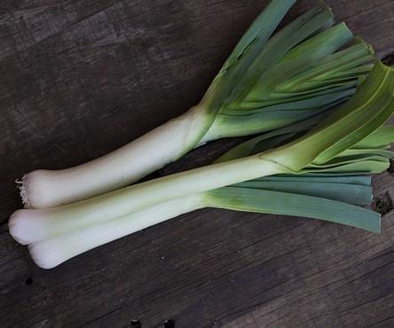 Leek