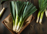 Leek