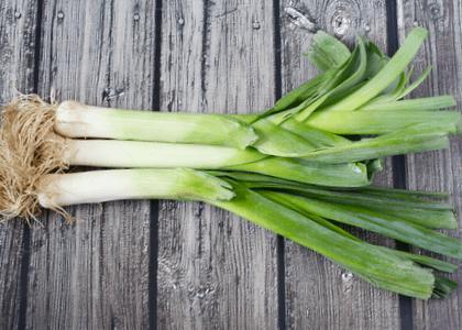 Leek