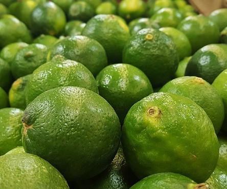 Limes