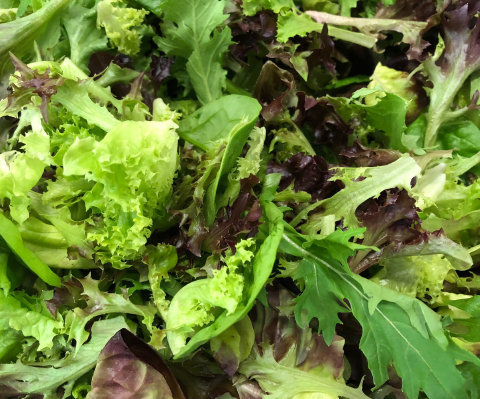 Mixed Leaves