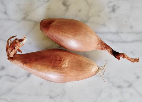 Onion, French Eschalots