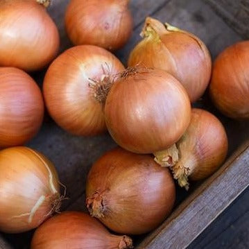 Onions, Brown