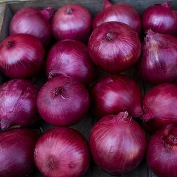 Onions, Red