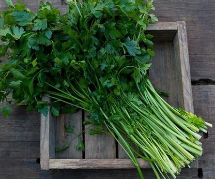 Parsley (Continental)