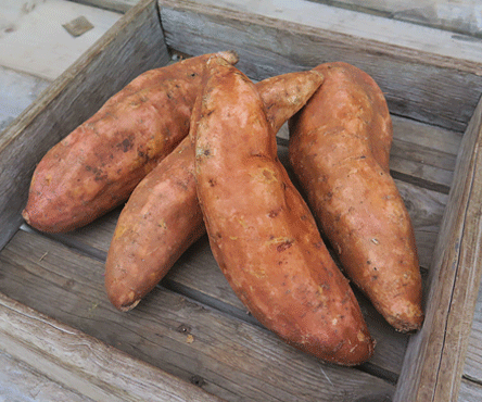 Potatoes, Sweet Potatoes - 2 kilos for $7.99