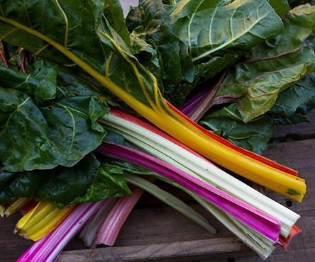 Rainbow Chard