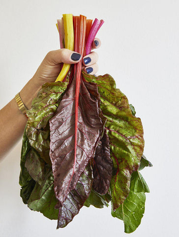 Rainbow Chard