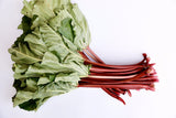 Rhubarb