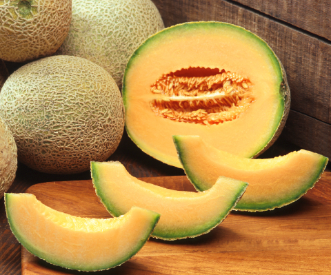 Rockmelon