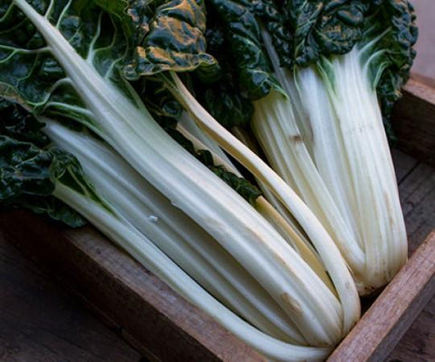 Silverbeet