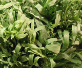 Tarragon