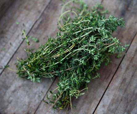 Thyme