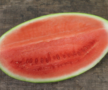 Watermelon