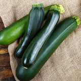 Zucchini