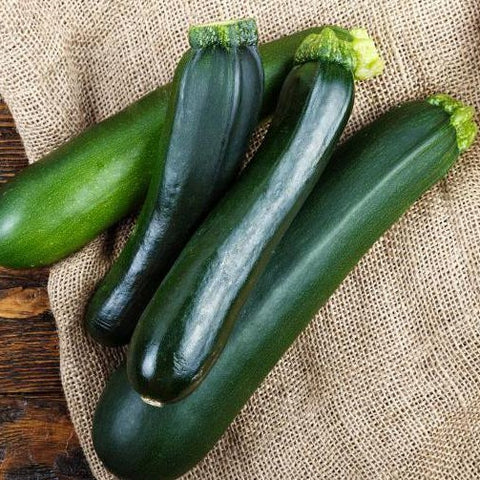 Zucchini