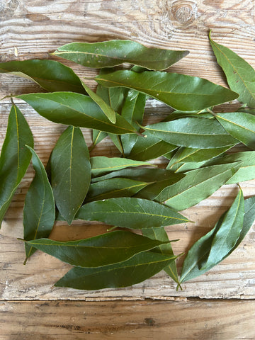 Bay Leaves - 10g