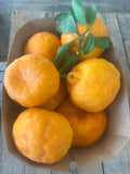 Grenfell Mandarins