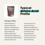 Grass-fed Collagen Protein Powder - Dark Chocolate