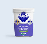❄ Barambah Organics Real Blueberry Yoghurt - 500g