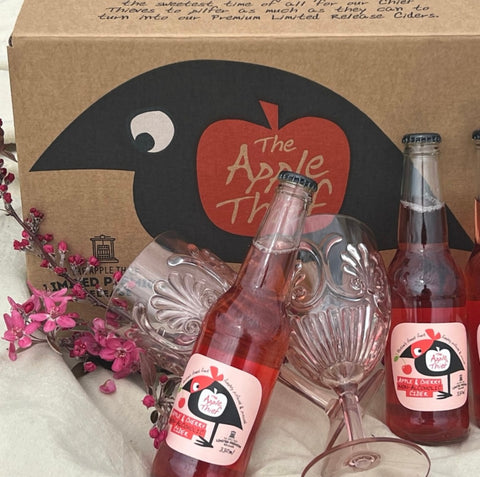 The Apple Thief, Apple & Cherry Non Alcoholic Cider 6 Pack Special Premium Limited Release