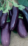 Lebanese Eggplant
