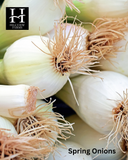 Spring Onions Bunch