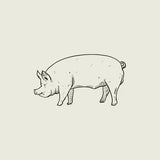 Stockinpiggle Boneless Shoulder Ham Deposit $60