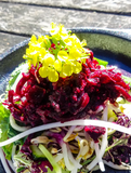 Spiralz Organic Ginger Zing Sauerkraut 430g
