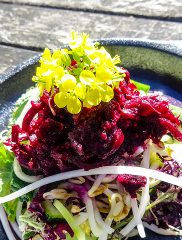 Spiralz Organic Ginger Zing Sauerkraut 430g
