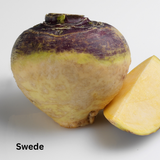 Swede