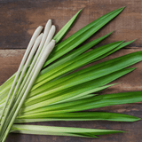 Bicarb FREE - Lemongrass, Lime & Patchouli Natural Deodorant